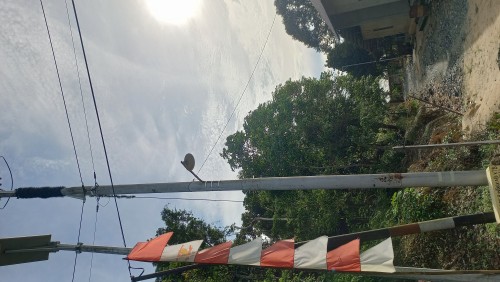 Pengaduan Perlengkapan Jalan Dinas Perhubungan Kabupaten Kotabaru Said rahman