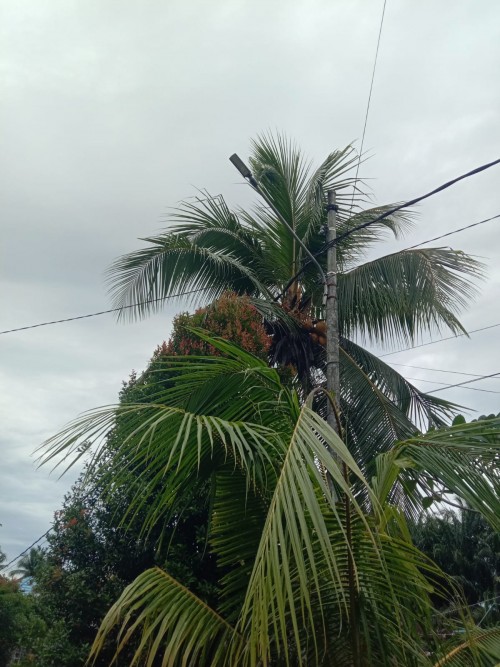 Pengaduan Perlengkapan Jalan Dinas Perhubungan Kabupaten Kotabaru Lukmanul hakim